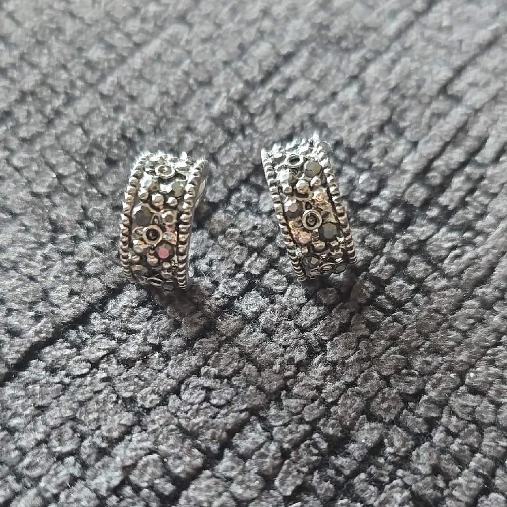Elegant Silver Hoop Earrings